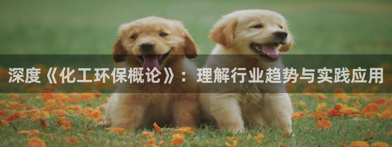 亿万先生客户端怎么下载:深度《化工环保概论》:理解行业趋势与实践应用